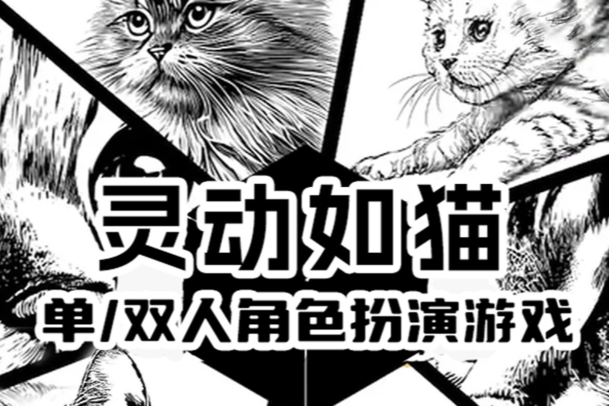 灵动如猫