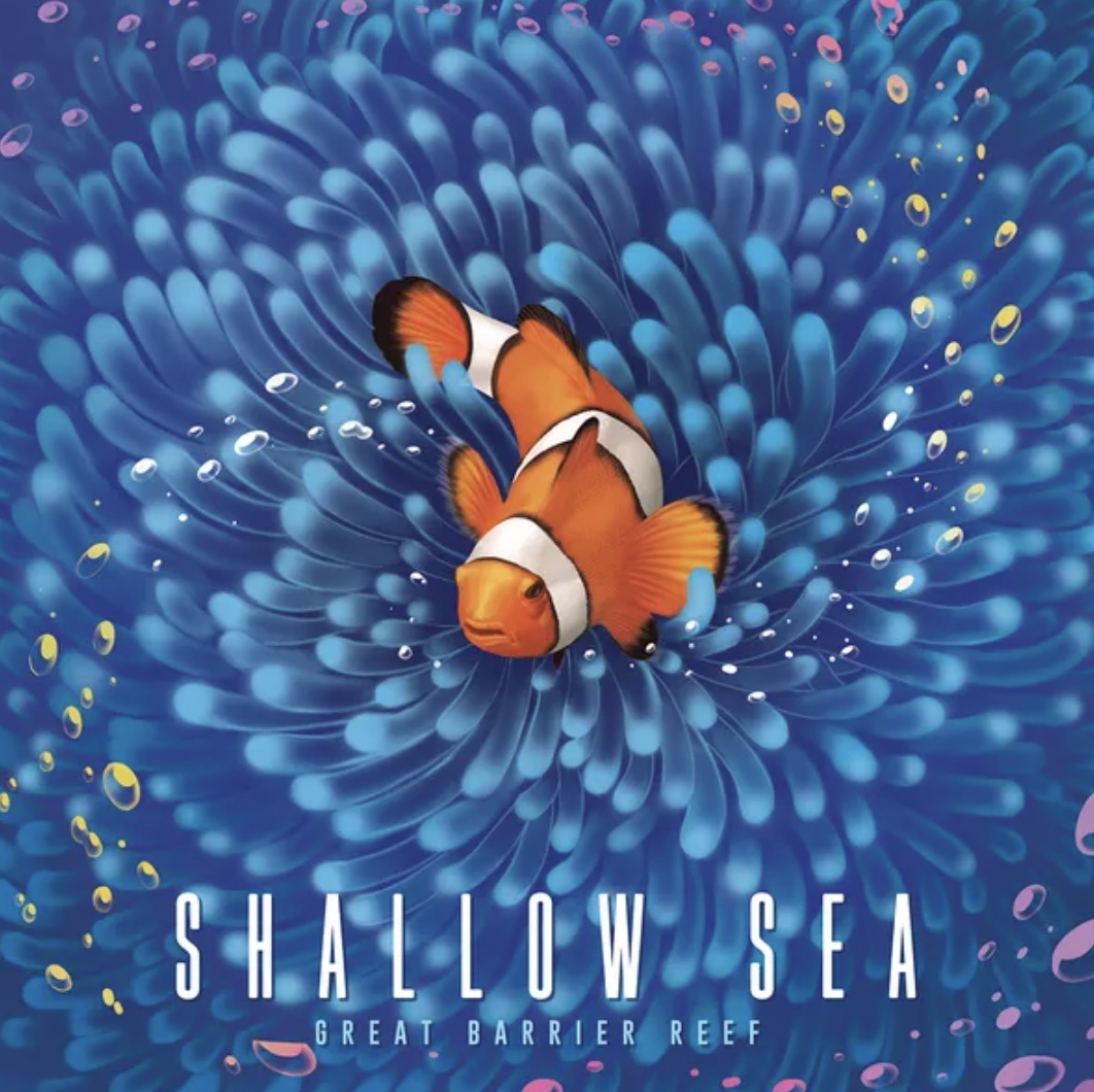 《浅海 Shallow Sea》中文版正式引进